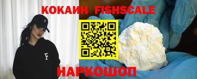 стаф Кулебаки
