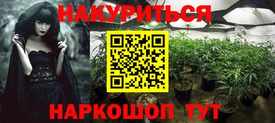 стаф Кулебаки