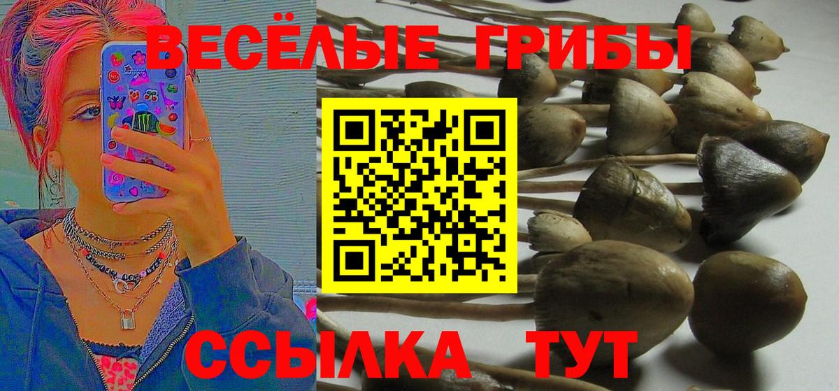 Галлюциногенные грибы мицелий  Вход с VPN  Сухой Лог 